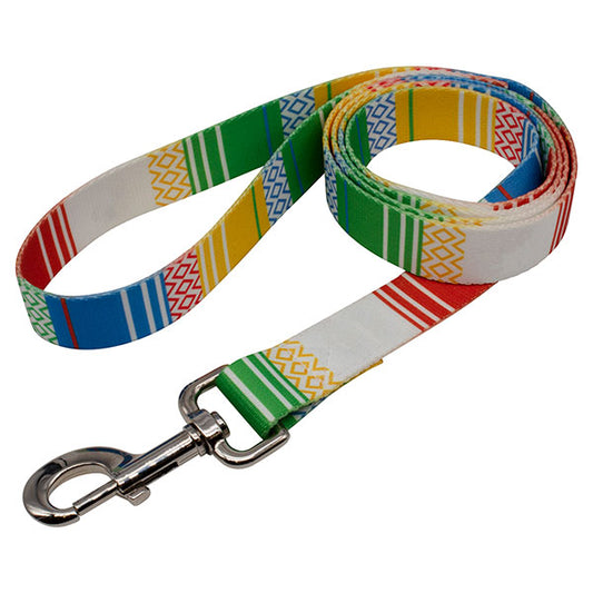 rPET Dog Lead