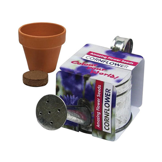Zinc Bucket Watering Can