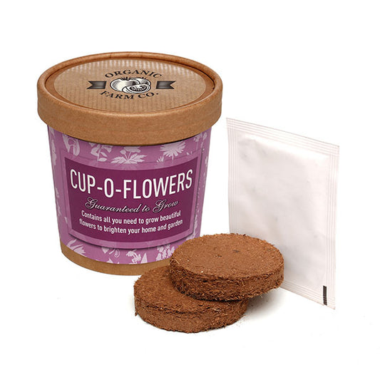 Paper Cup Grow Kit