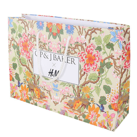Landscape Laminated Paper Carrier Bag - Small