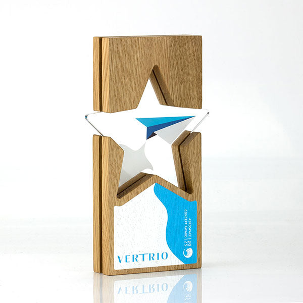 Acrylic Inset Star Award