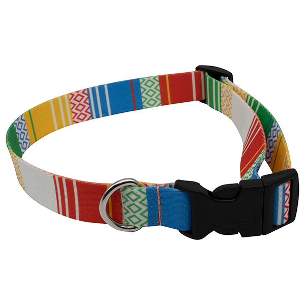 rPET Dog Collar