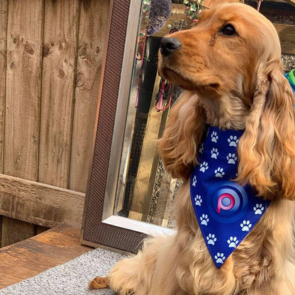Dog Bandana