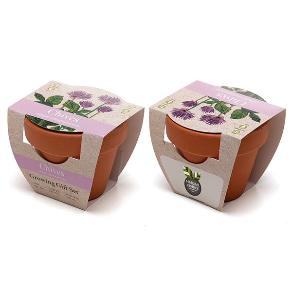 Terracotta Flower Pot