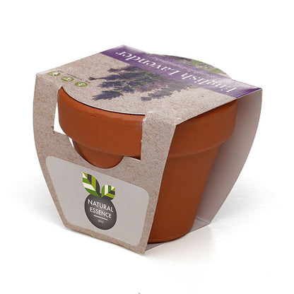 Terracotta Flower Pot