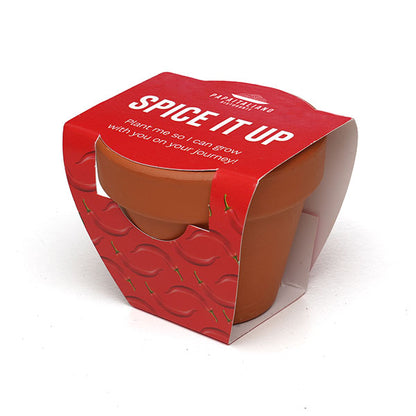 Terracotta Flower Pot