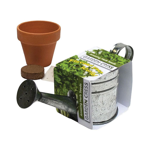 Zinc Bucket Watering Can