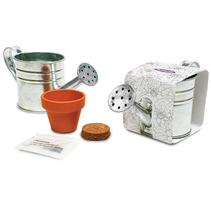 Zinc Bucket Watering Can
