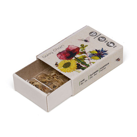 Seed Matchbox