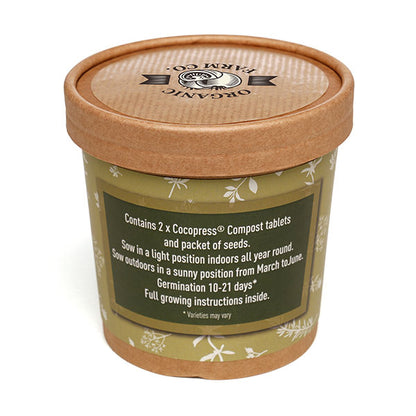 Paper Cup Grow Kit