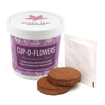 Paper Cup Grow Kit
