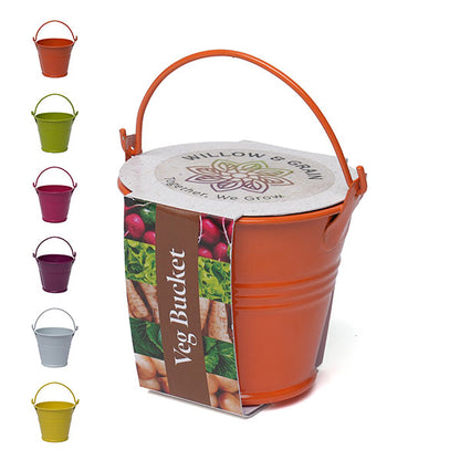 Coloured Mini Bucket Grow Kit