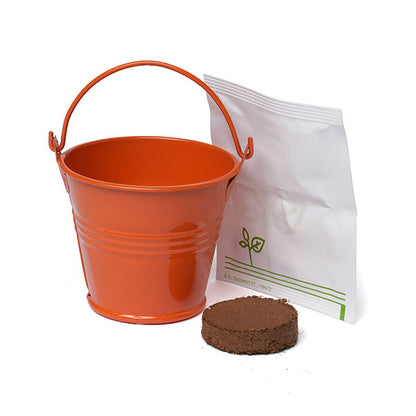 Coloured Mini Bucket Grow Kit