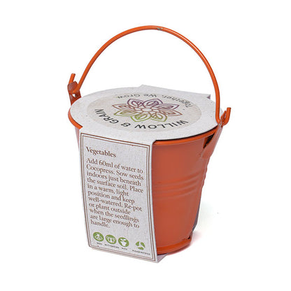Coloured Mini Bucket Grow Kit