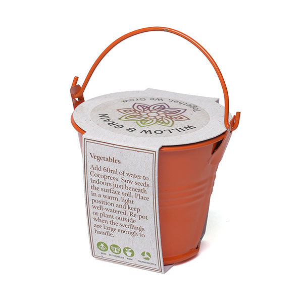 Coloured Mini Bucket Grow Kit