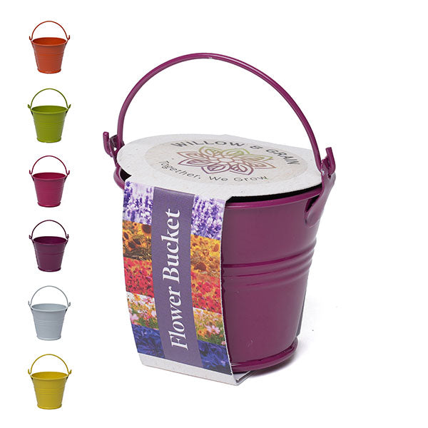 Coloured Mini Bucket Grow Kit