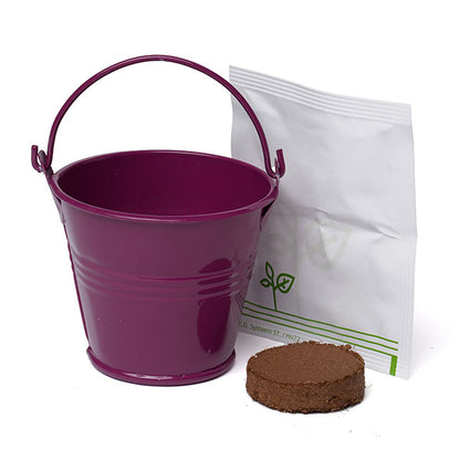 Coloured Mini Bucket Grow Kit