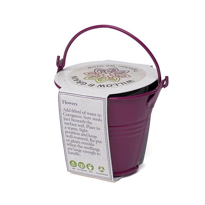 Coloured Mini Bucket Grow Kit