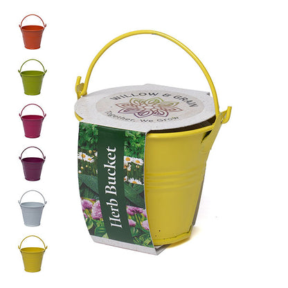 Coloured Mini Bucket Grow Kit