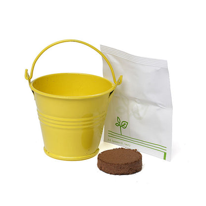 Coloured Mini Bucket Grow Kit