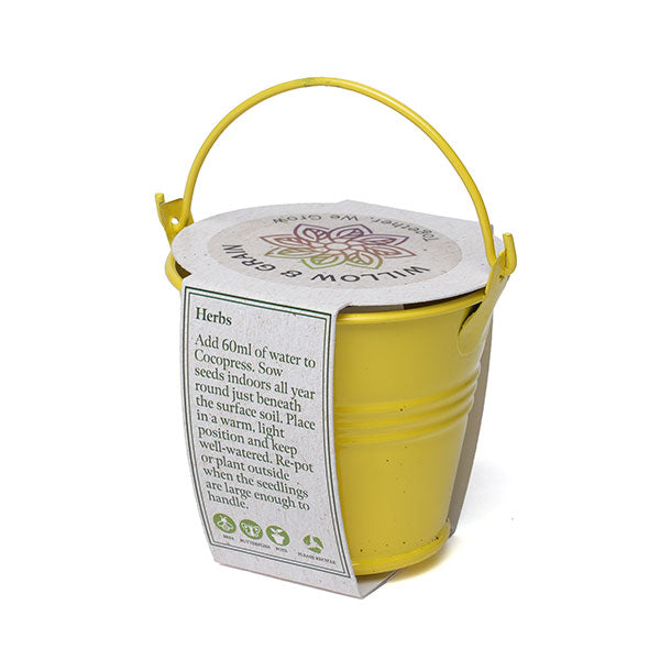 Coloured Mini Bucket Grow Kit